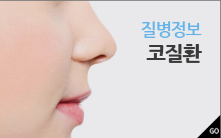 질병정보 코질환